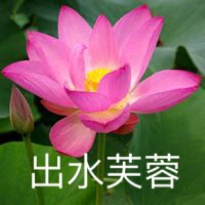 剑御仙缘手游官方